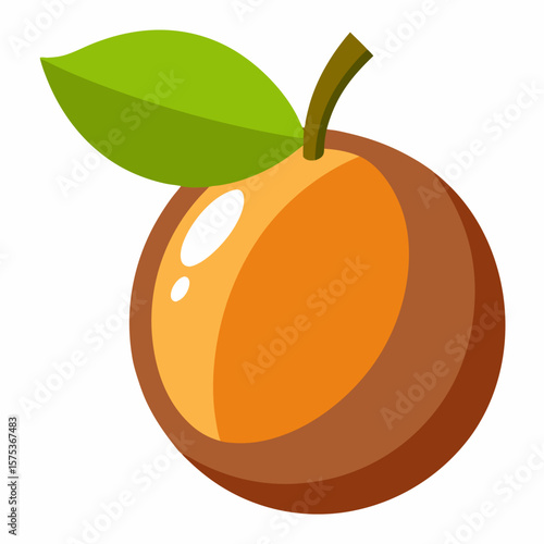 vector illustration of orange fruit