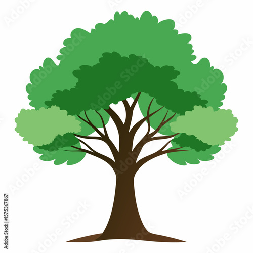 tree with roots