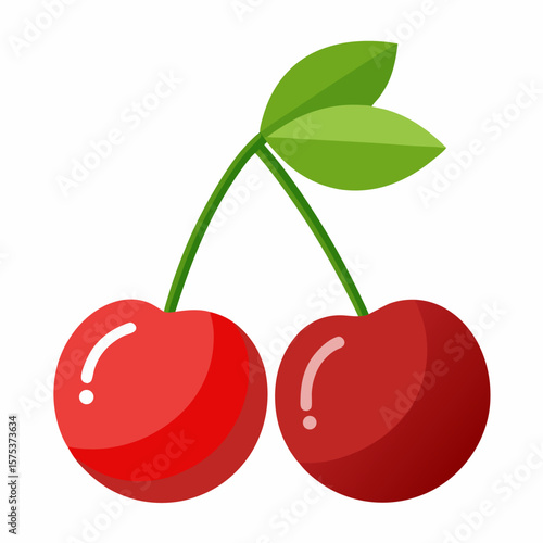 vector illustration of cherries