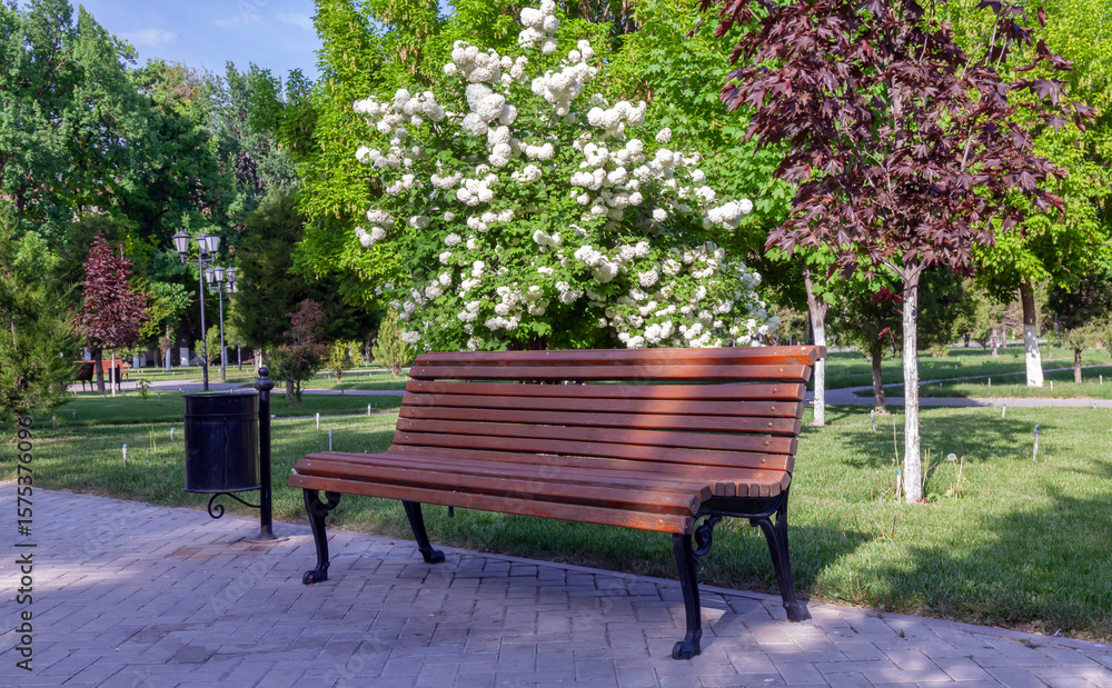 Fototapeta premium Wooden bench sits in front of a tree with white flowers. The bench is empty and the park is quiet