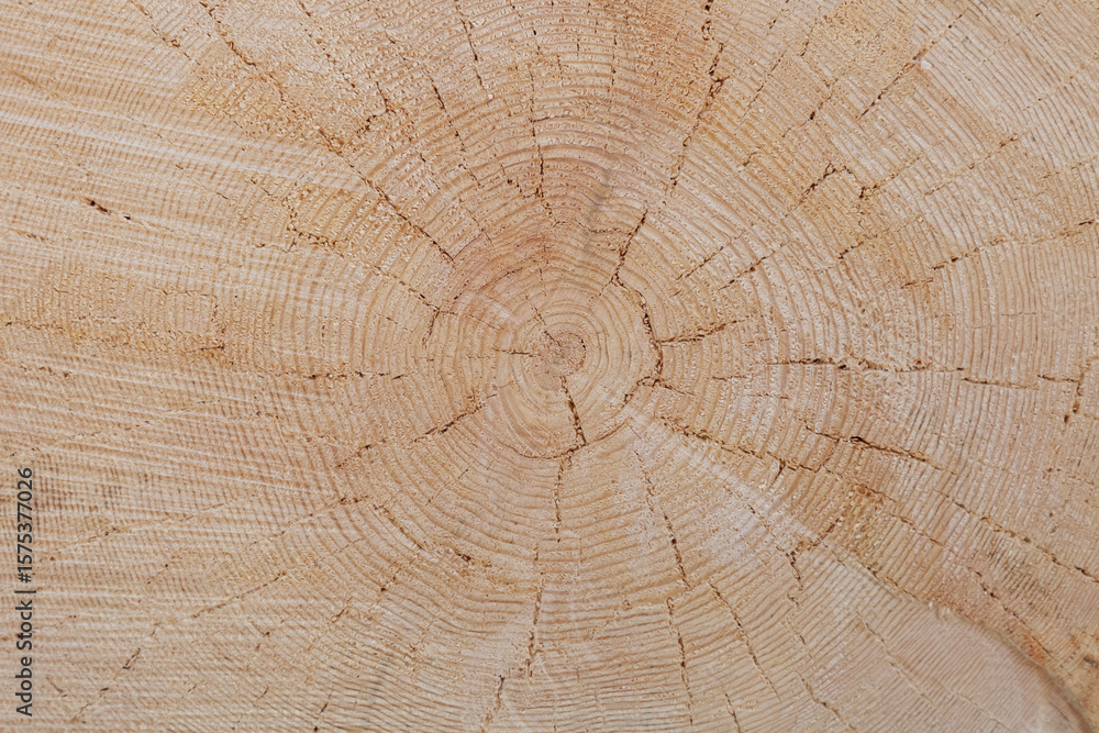 Naklejka premium The image is of a piece of wood with a large hole in the center