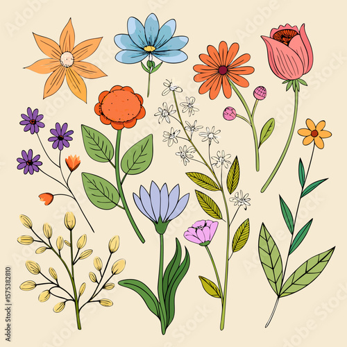 Vibrant Floral Collection. A Delightful Bouquet of Spring and Summer Blooms