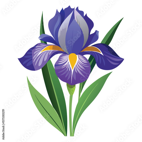 Iris flower outline vector illustration