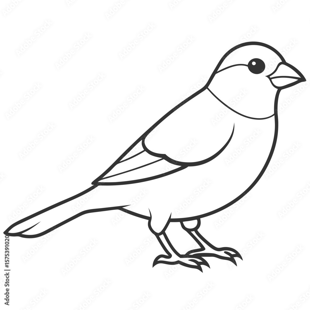 Obraz premium finch bird outline illustration