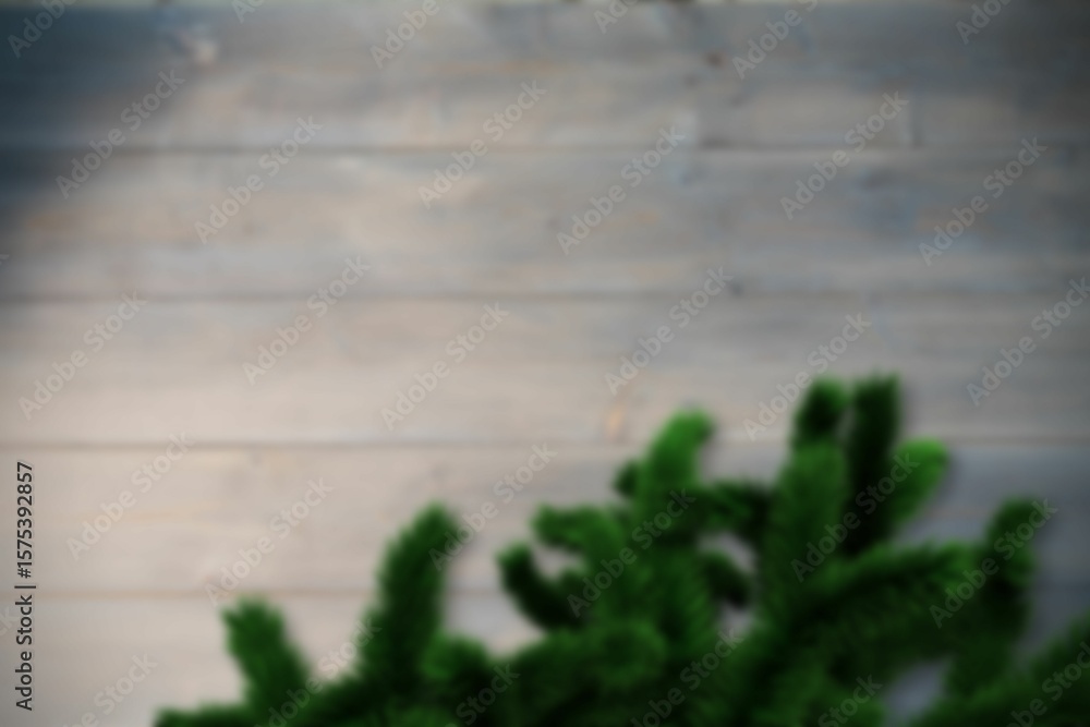 Fototapeta premium Blurred fir tree branches