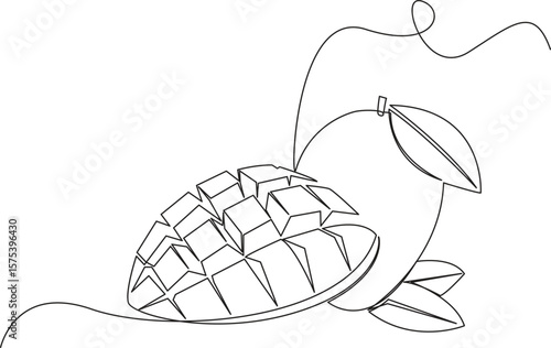 Continuous one line Mango. One line drawing art illustration with organic mango, Continuous one line drawing of mango fruit with leaf. Mango fruit hand drawn single line art pro vector illustration.
