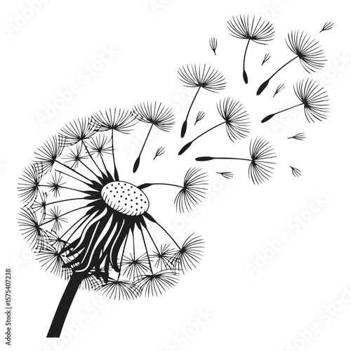 Black and white illustration of a dandelion with seeds blowing in the wind