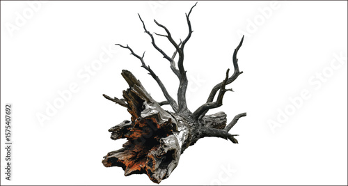 Vector art of a dead tree stump with bare branches isolated on white