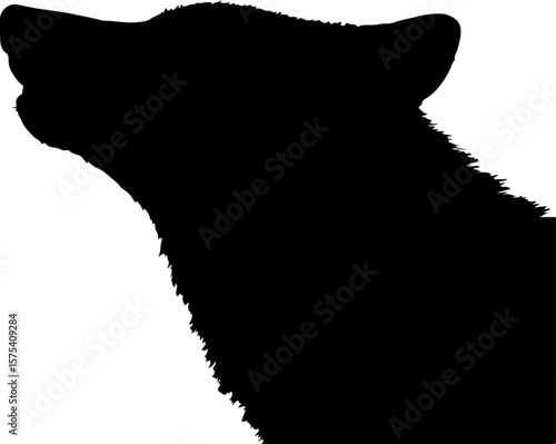 wolf black vector