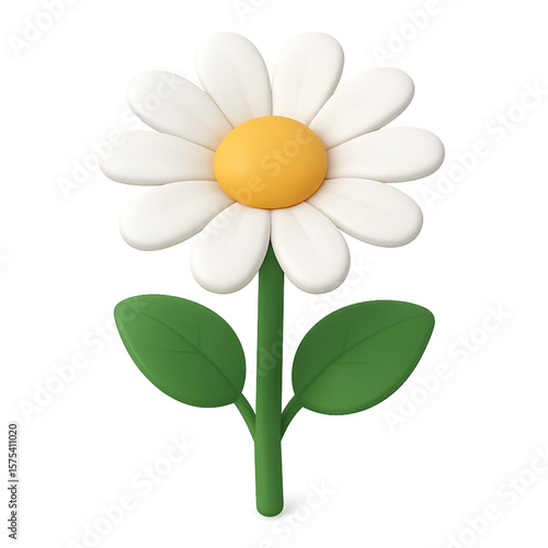 daisy flower isolated on white background