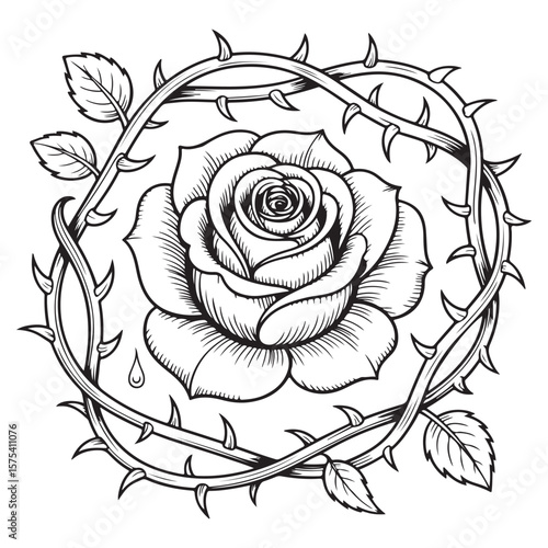 Rose surrounded by thorns in black and white illustration