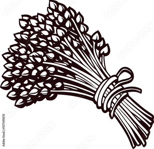 Hand drawn bundle of wheat tied with rope vintage black and white agricultural illustration