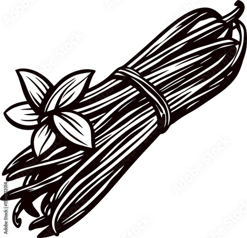 Botanical illustration of vanilla beans bundle with flowers in vintage hand drawn engraved