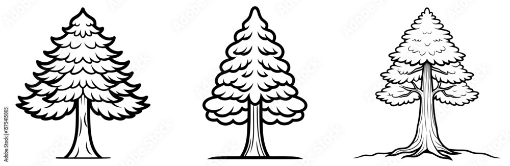 Obraz premium Redwood Tree Coloring Book Page Outline Design