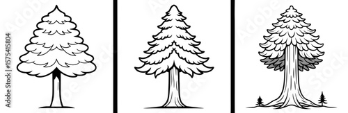 Redwood Tree Coloring Book Page Outline Design