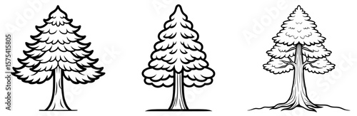 Redwood Tree Coloring Book Page Outline Design