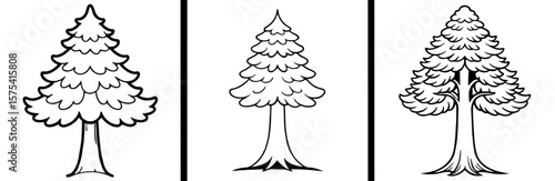 Redwood Tree Coloring Book Page Outline Design