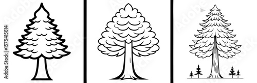 Redwood Tree Coloring Book Page Outline Design