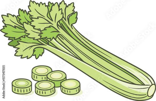 Vector art of a vibrant stalk of celery and sliced pieces, a testament to healthy eating