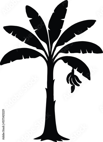 Black and white vector illustration of a tropical tree with roots, a silhouette of a banana tree, or a simple tree branch with leaves