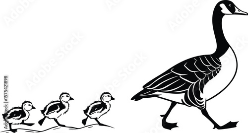 Vector art of a goose walking with its goslings, a black and white illustration of a family