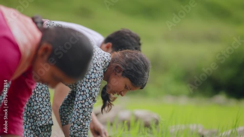 Indian female farmer planting rice saplings in muddy paddy field, smiling and looking into the camera during work, 4k video