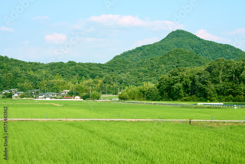 農村