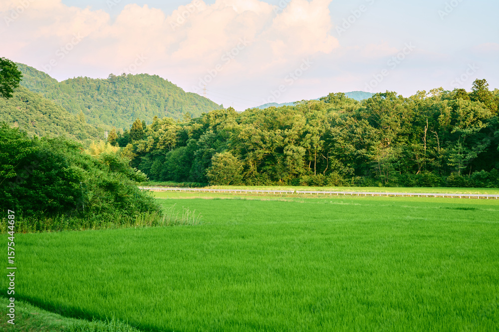 Obraz premium 田園