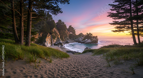 a winding path of footprints in clean sand with grass, tall pine trees nearby