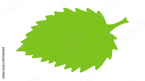 Green leaf vector illustration for graphic design and nature related projects
