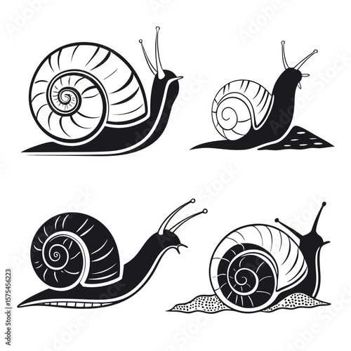 Black and white snail silhouettes with detailed shells vector