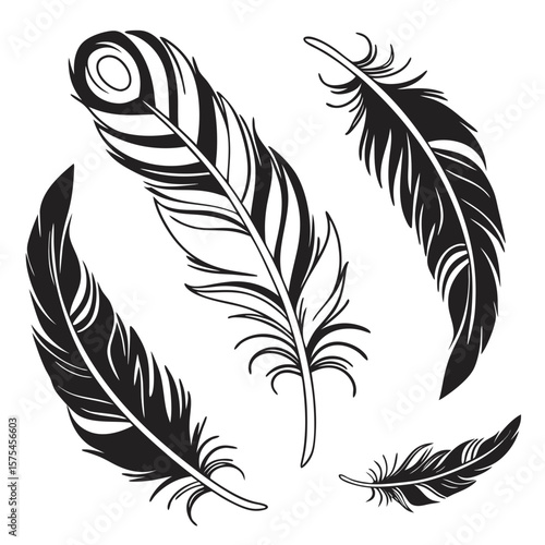 Black bird feathers in various orientations on a white background black feather quill
