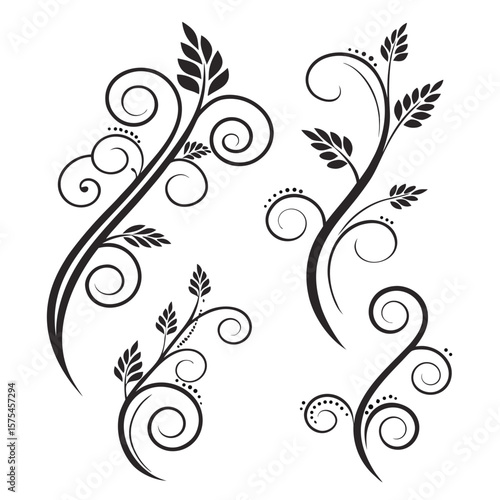 Black floral swirls and leaves decorative elements flourish ornamental