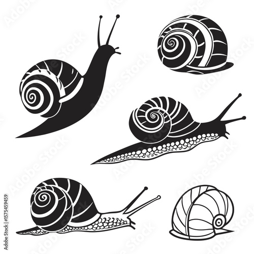 Black snail and shell silhouettes with ornamental spiral patterns white