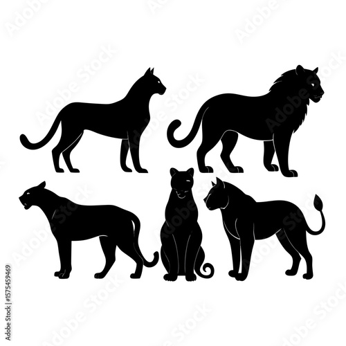 Photography Black silhouettes of wild cats on white background tiger panther