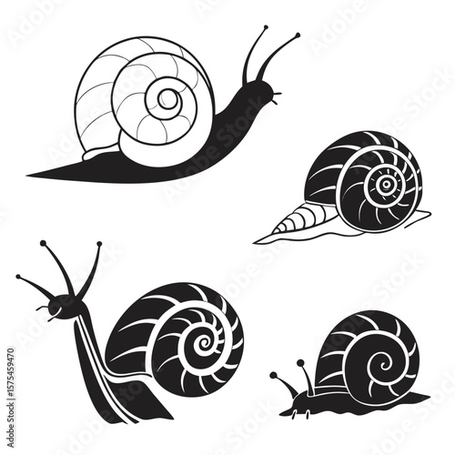 Black snail and shell silhouettes on white background black and white crawling