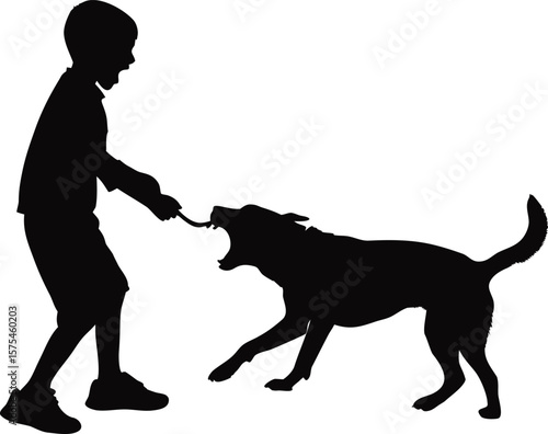 Boy Playing Tug of War with Dog Silhouette