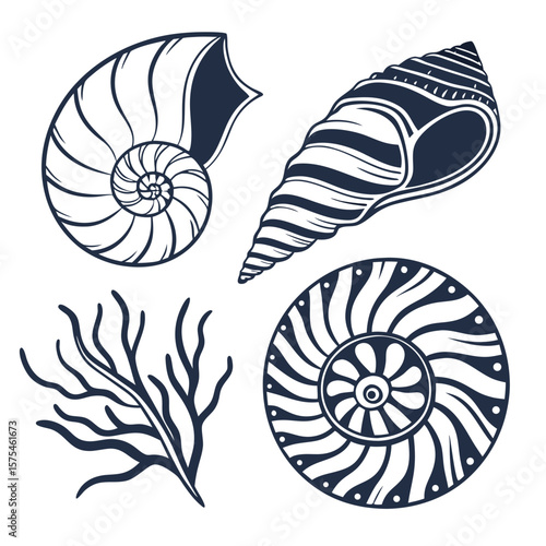Dark blue nautilus shell and spiral seashell with coral marine life ocean