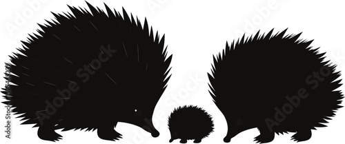 Echidna Family Silhouette Wildlife Animal Illustration