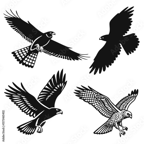 Four falcons in flight silhouettes bird flying