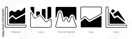 A set of 5 mix icons as infograph, audit, financial diagram