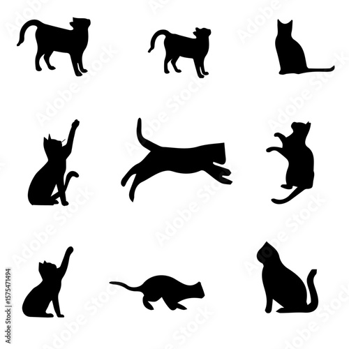 Black cat vector-3