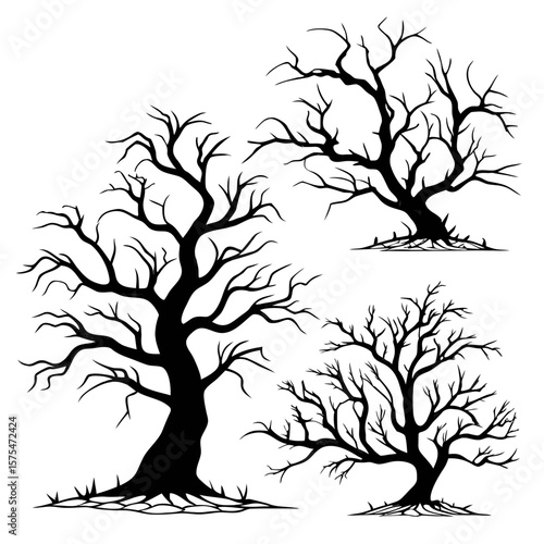 Spooky bare trees with gnarled branches silhouette black