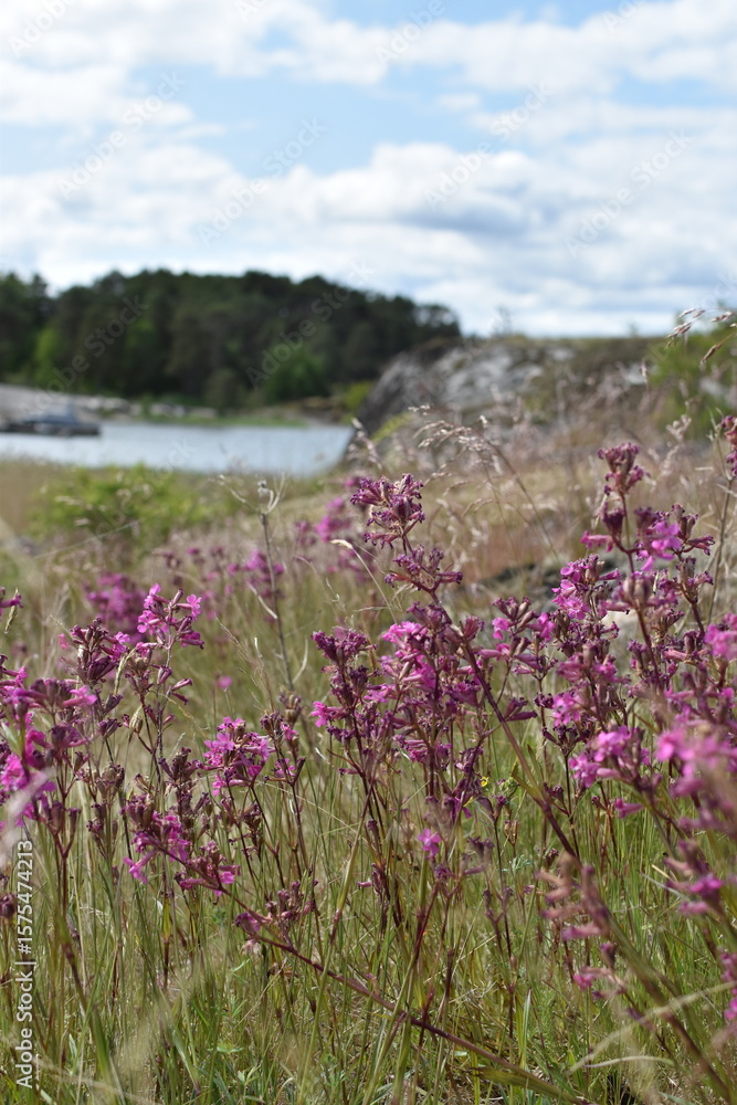 Obraz premium Blooming wildflowers by the riverbank in a serene natural landscape