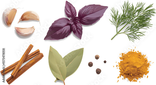 Isolated Culinary Herbs and Spices Garlic, Purple Basil, Dill, Cinnamon, Bay Leaves, Peppercorns, and Turmeric