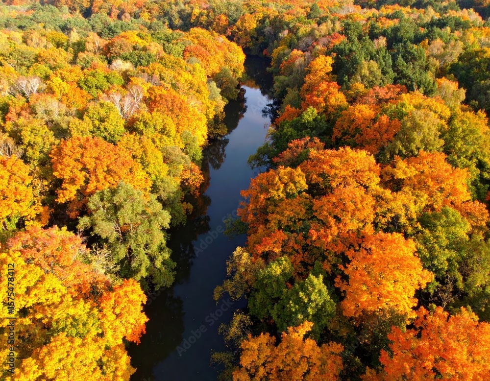 Obraz premium Autumn forest river view from above
