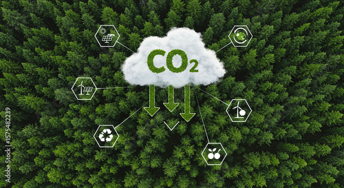 Aerial view of a dense green forest with a cloud displaying co2 and icons representing renewable energy and sustainability symbolizing carbon capture and environmental protection