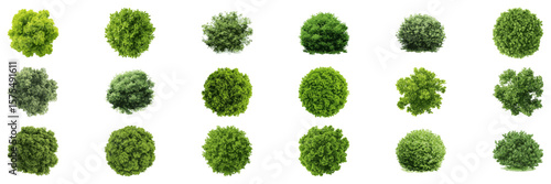 Green Bushes And Shrubs Top View Illustration Set. Garden And Landscape Architecture Element Collection. Natural And Decorative Planning. Isolated Vector Illustration
