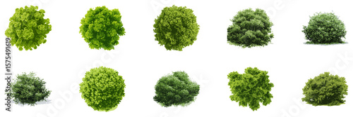 Top View Green Trees And Bushes Set. Urban Landscape And Garden Design Elements Collection. Vector Illustration For Environmental Planning