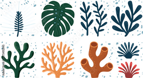 Colorful Cartoon Seaweed and Coral Illustrations on White Background with Light Blue Specks
